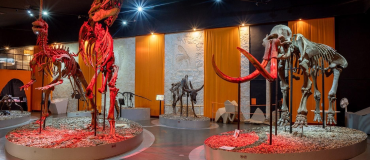 Музей пермских древностей